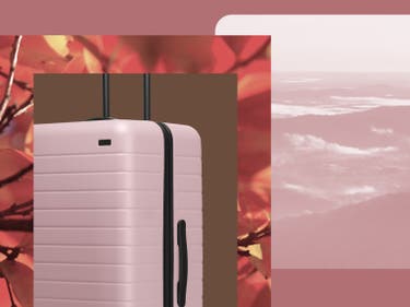 A pink Away suitcase with foliage in the background next to pink mountains.