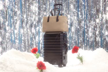 An Away black aluminum carry on sized suitcase with a sand everywhere travel bag on top. The travel set is sitting on top of snow with roses growing out of the snow, with silver sparkly tinsels in the backdrop