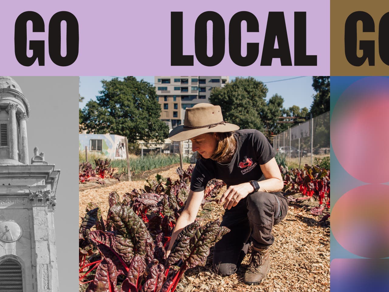 A jargon of images labeled ‘Go Local’ that are stories from the neighborhood.
